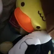渚（プロフ必読）