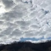 Mの画像