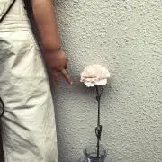 momomoの画像