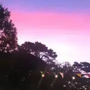 ロコもも