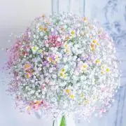 (♡˘˘)*かず