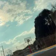 すんすんの画像