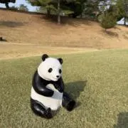 【２４時間以内発送】おもちの画像