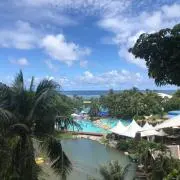 ハヒの画像
