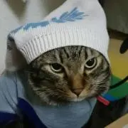 むぎの画像