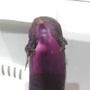 よよよの画像