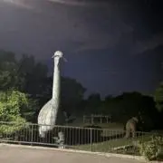 リアルゴールド