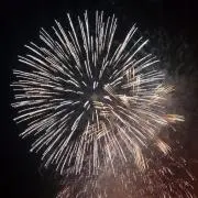 わたの画像