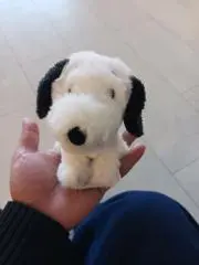 パパゴン