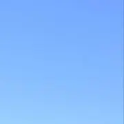 かめの画像