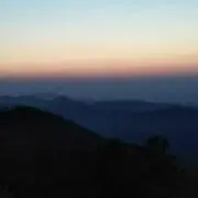 アヒルままの画像
