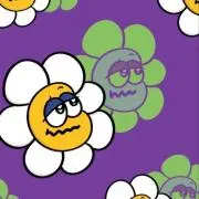 Ms.の画像