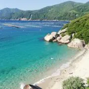 もぐもぐの画像
