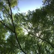(^_^)の画像