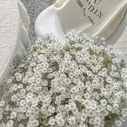 みむの画像