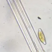 働くママ