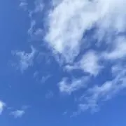BM