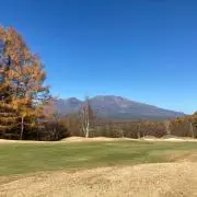 カップの画像