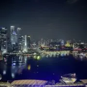 ナナの画像