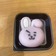 うさぎの画像