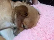 れお