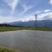 Rの画像