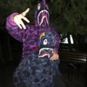 カマキリの画像