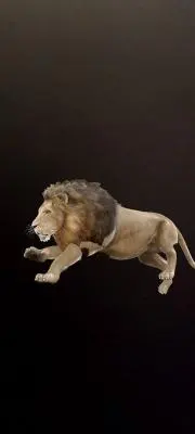 ライオン君の画像
