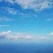 メグの画像