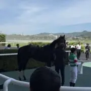 ザーフィルの画像