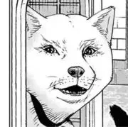 むむむの画像
