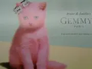 ogaの画像