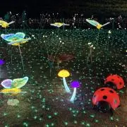 とまとこと⭐︎価格交渉ok!!の画像