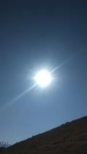 たこせん