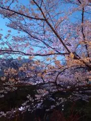 tot8afuroの画像