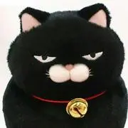 ねこ使い(⁠^⁠·^⁠)プロフ必読で♪の画像