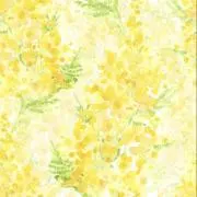 Linoの画像