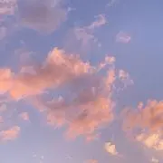 Rinnの画像