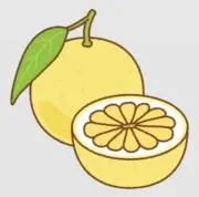 ひゅうが夏の画像