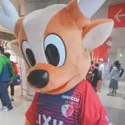 ▢紹介文必読してください▢の画像