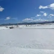 Sの画像