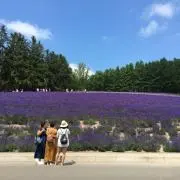 yukariの画像