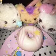 omp♬の画像