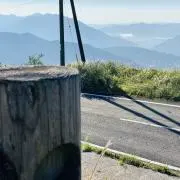 やんやんの画像