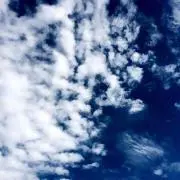 クマたん