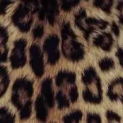 mmの画像