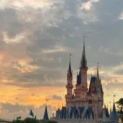 MGMの画像