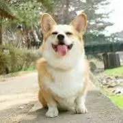 うっちぃ