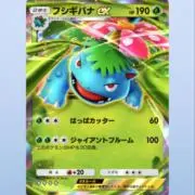 fmsの画像