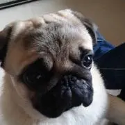 ヒロ